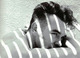 Morrissey &#9835;