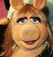 MissPig