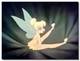 Tinkerbell